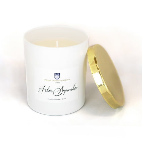 DPU Duftkerze „Arbor Sapientiae“ mit goldenem Deckel, hochwertig verpackt im Karton.